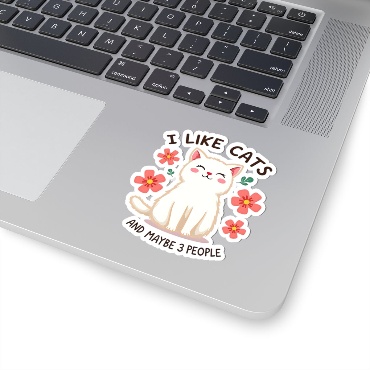 I Like Cats and Maybe 3 People Sticker — Funny Cat Lover Sticker
